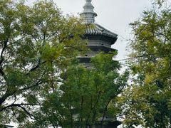 -正阳书局(西四南大街店)