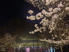 -堤角公园