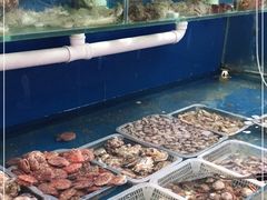 水产区-海帮主·蒸汽海鲜青岛菜(栈桥火车站店)