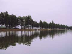 -东湖落雁景区