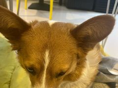 -平行世界·猫咖(首经贸店)