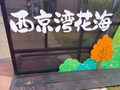 -西京湾花海