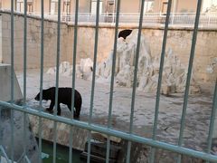 -商丘市人民公园