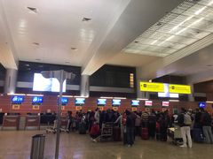-谢列梅捷沃国际机场
