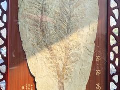 -辽宁古生物博物馆