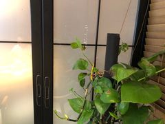-唐力九头鸟烧烤·罗田吊锅(西云楼店)