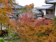 -天龙寺