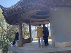 -香雪海