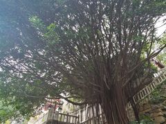 -乌山风景区