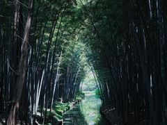 -同里国家湿地公园