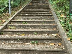 好汉坡-神光山国家森林公园