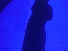 -人民防洪胜利纪念塔