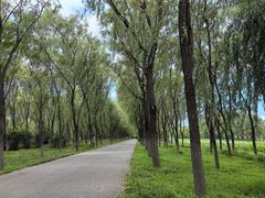 -东郊湿地公园