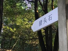 -火炉山森林公园