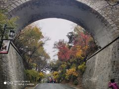 -北山公园