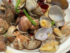 -船歌·鱼水饺青岛菜(太阳宫凯德MALL店)