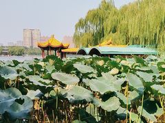 -长春市南湖公园