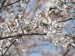 -新天地活力PARK