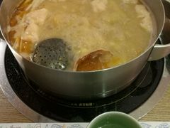 -海桐