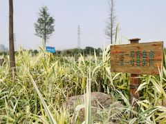 -那考河湿地公园