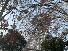 -长乐公园游乐场