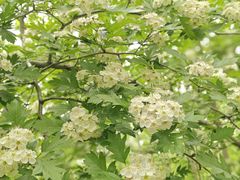 -东北林业大学-俭德园食堂