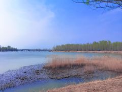 -野鸭湖国家湿地公园