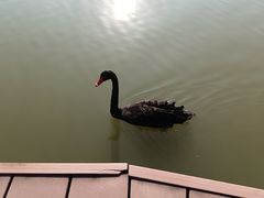 -金桥现代产业园区-停车场