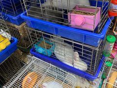 -万商花鸟市场