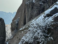 -崂山巨峰游览区