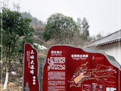 -金狮洞国家地质公园