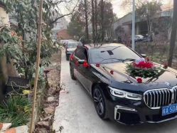 -蚂蚁婚车