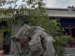 -莲池书院博物馆