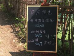 -长兴太湖图影湿地文化园
