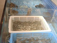 -绿杨春·淮扬宴(庐山路店)
