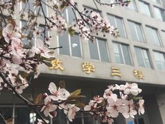 -山东师范大学(千佛山校区)