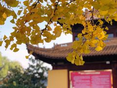 -圆通寺