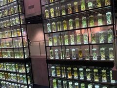 -广东中医药博物馆