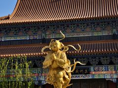 -大悲禅寺