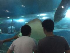 苏州海洋馆-苏州海洋馆