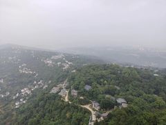 -南山植物园