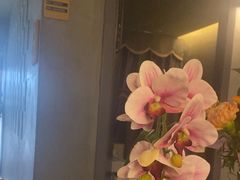 -施奈儿.洗头頭療.按摩SPA.采耳(上梅林店)
