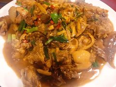 现杀果园鸡—黄焖鸡-生态苑农庄(十里画廊遇龙河店)