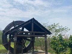 -同里国家湿地公园