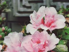 -龙潭水乡