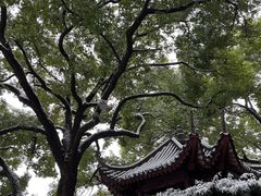 -黄鹤楼
