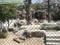 -石家庄市动物园