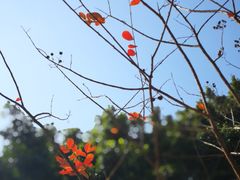 -海港城购物中心