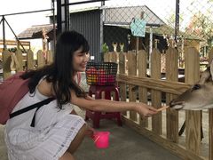 -鹿境梅花鹿生态园区