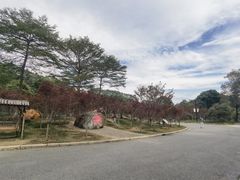 -广州市帽峰山景区